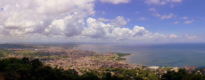 Файл:POSGulf2013 CFitzpatrick.jpeg