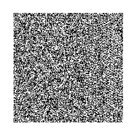 Файл:Qr-code-ver-40.svg