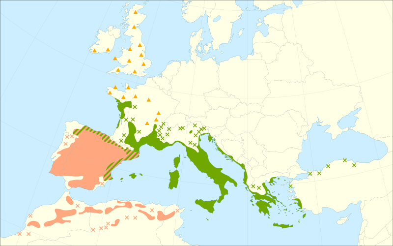 Файл:Quercus ilex range.svg