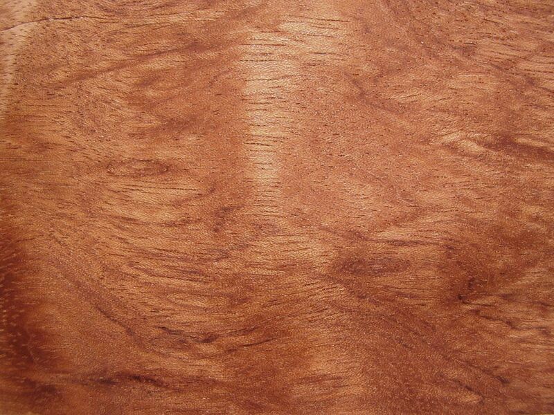 Файл:Bubinga.JPG