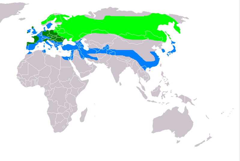 Файл:Circus cyaneus distribution map.png