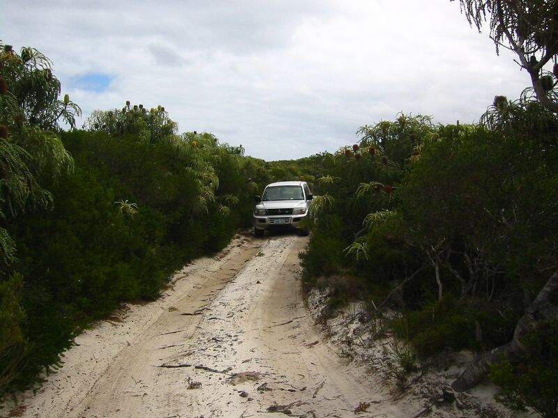 Файл:4 WD Track WA.JPG