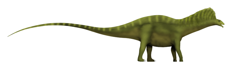 Файл:Bajadasaurus SW.png