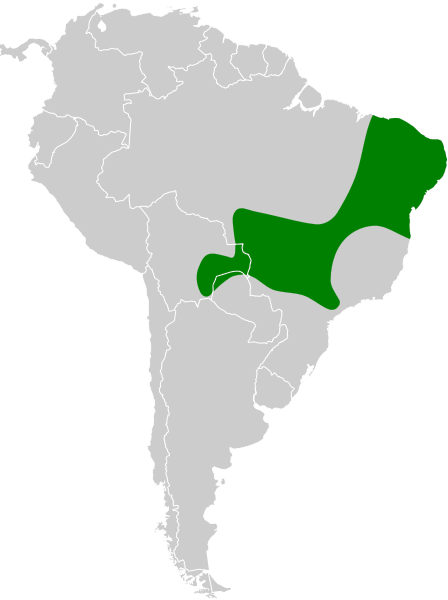 Файл:Formicivora melanogaster map.svg