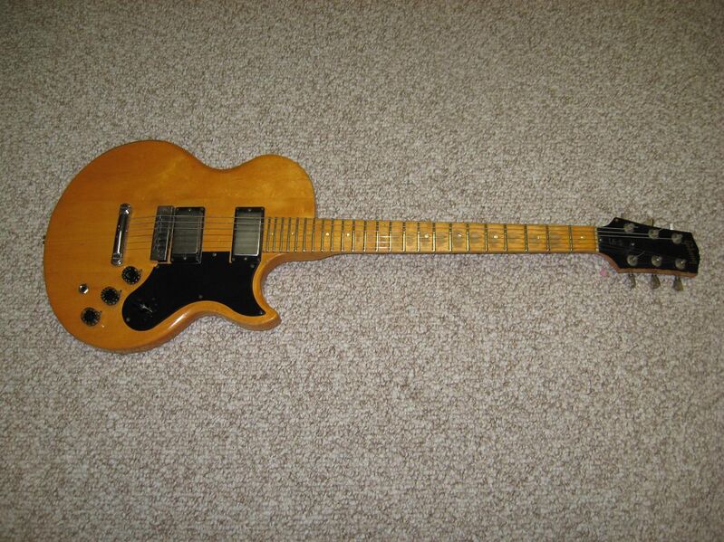 Файл:Gibson L6-S Custom Front.jpg
