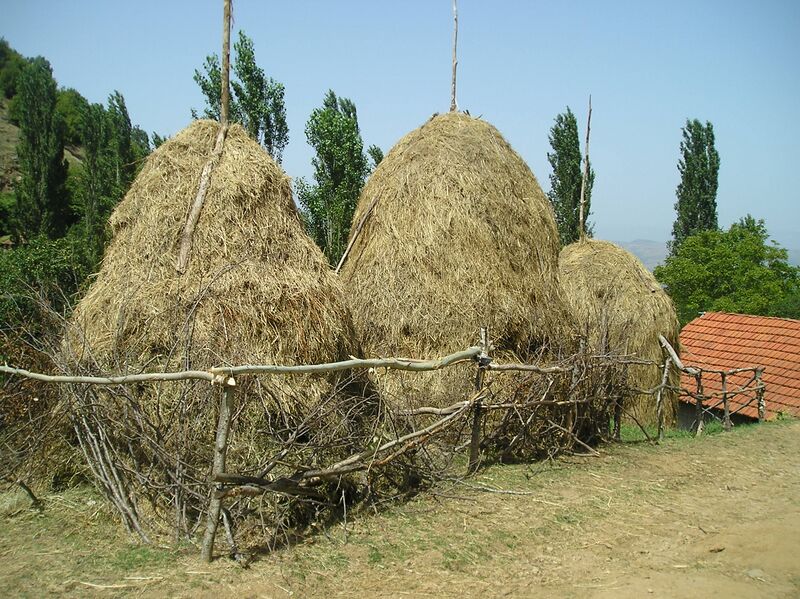Файл:Haystacks in Blatets.JPG