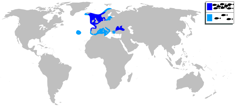 Файл:Merlangius merlangus mapa.svg