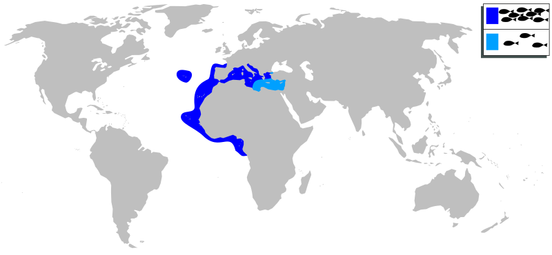 Файл:Apogon imberbis mapa.svg