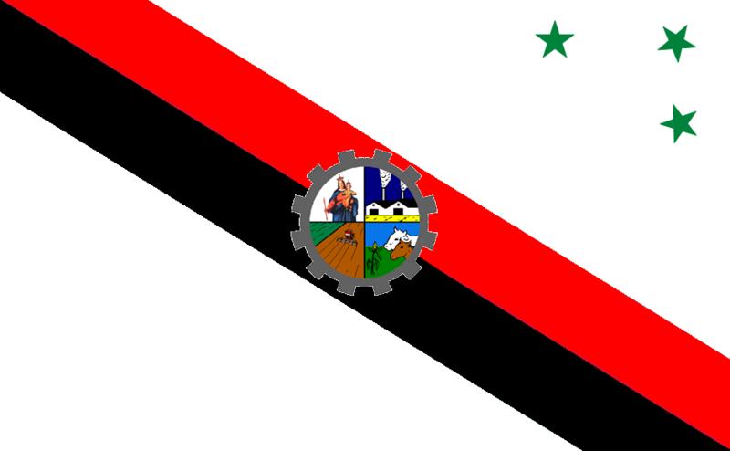 Файл:Bandera Minga Guazú.png