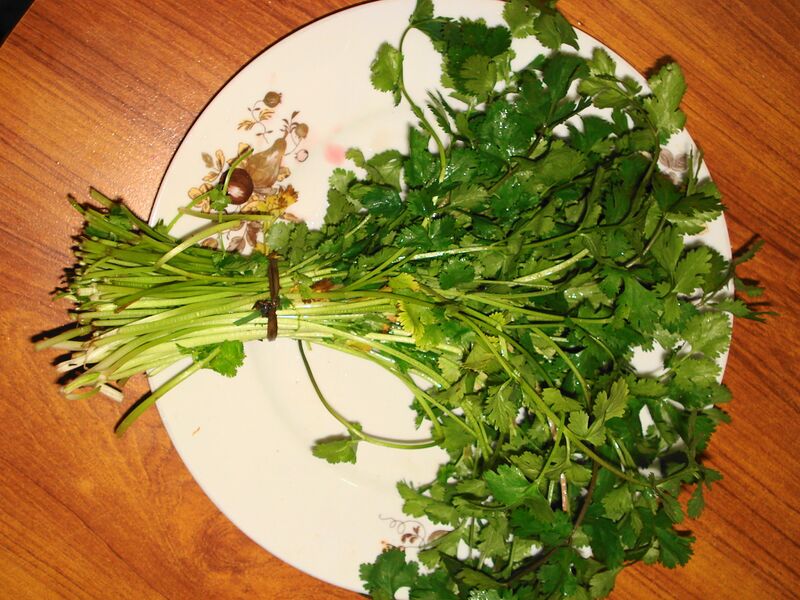 Файл:Coriander fresh.JPG