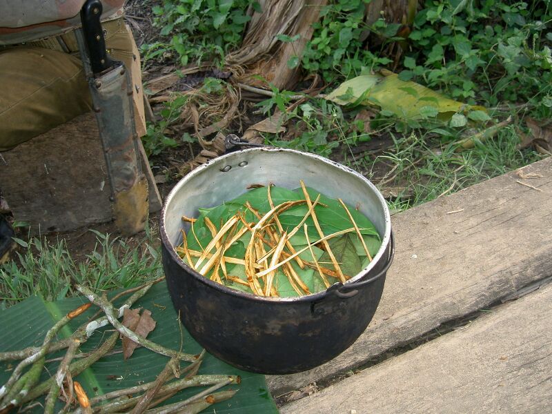 Файл:Ayahuasca prep.JPG