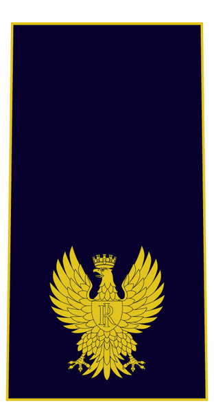 Файл:Agente ps.png
