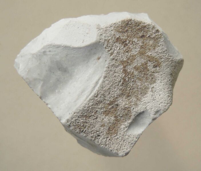 Файл:Flint scraper.jpg