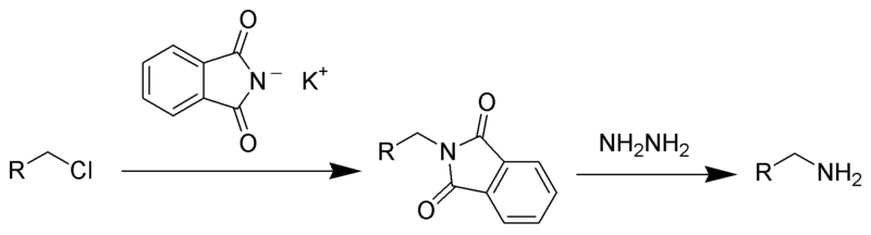 Файл:Gabriel Synthesis Scheme.png