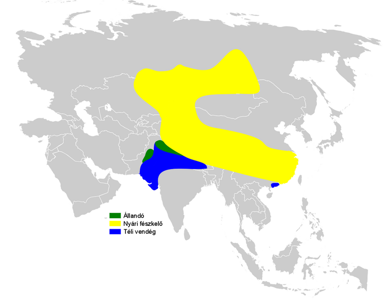 Файл:Riparia diluta distribution map.png