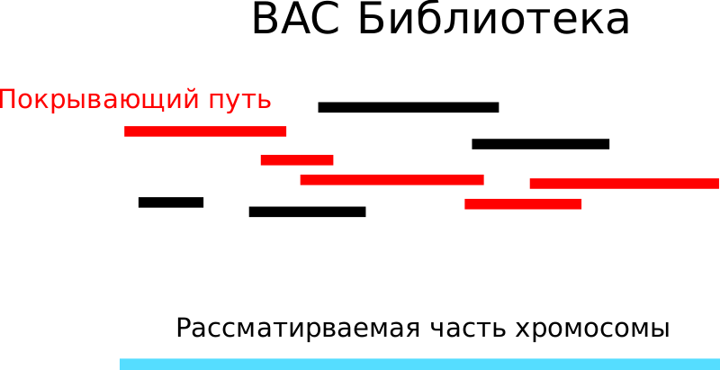 Файл:Tiling path.svg