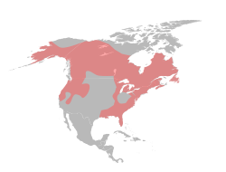 Файл:LontraCanadensisMap.svg