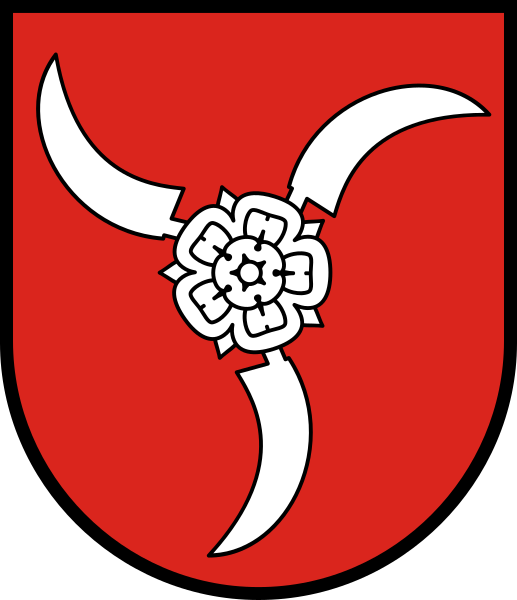 Файл:POL Modliborzyce COA.svg