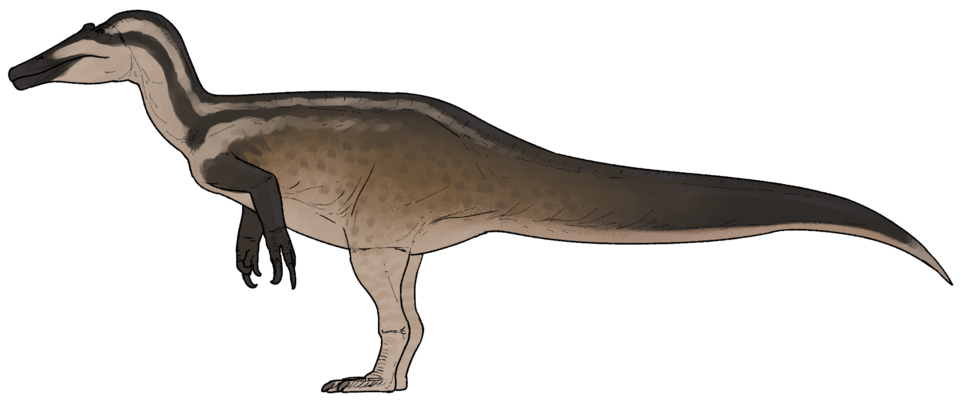 Файл:Riojavenatrix lacustris.png