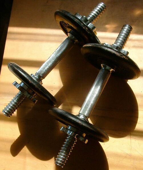 Файл:TwoDumbbells.JPG