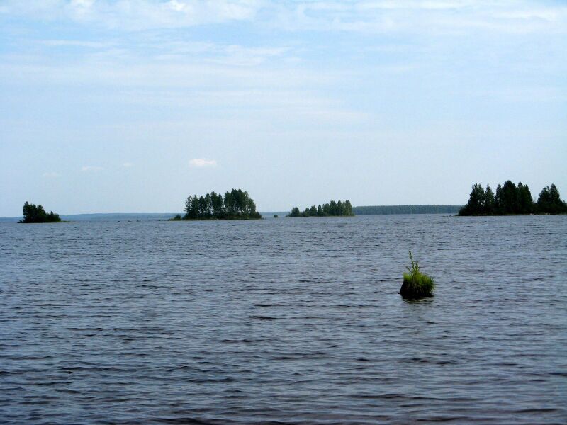 Файл:Vygozero03.JPG