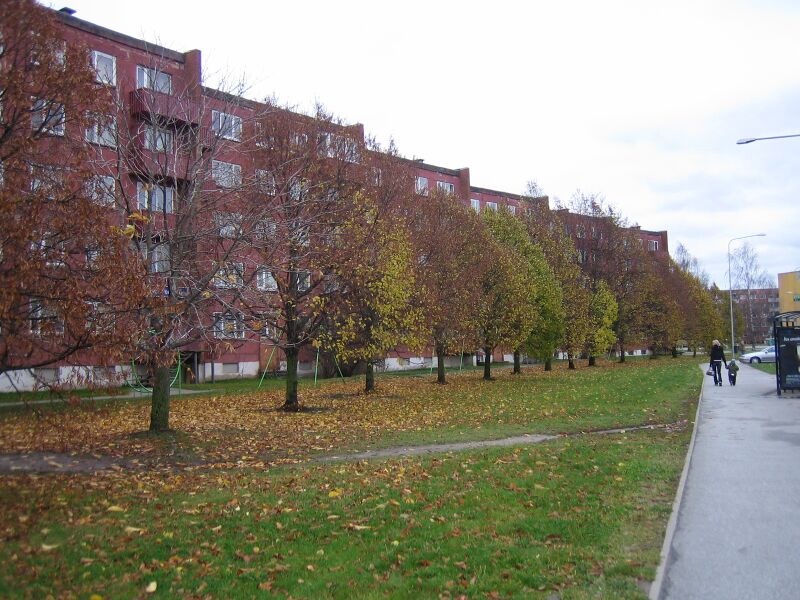Файл:Annelinn2.JPG