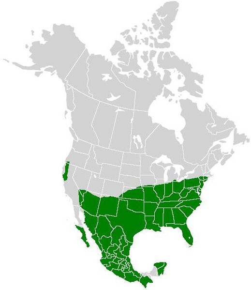 Файл:Battus philenor range map.JPG
