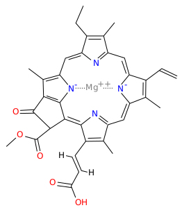 Файл:Chlorophyll c1.svg