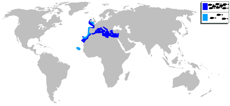 Файл:Dentex dentex mapa.svg