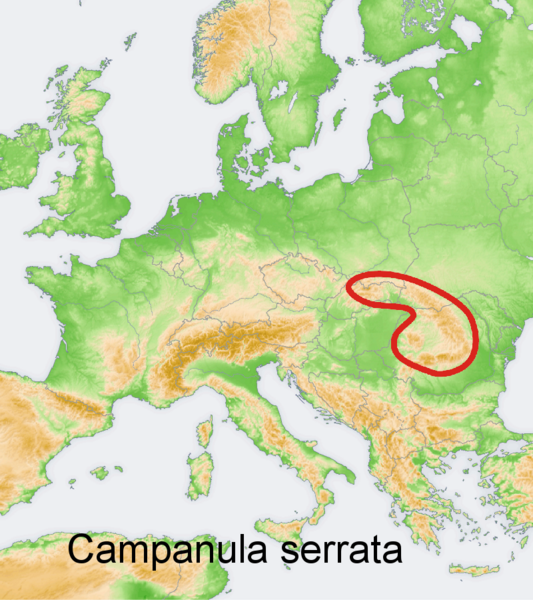 Файл:Distribution map Campanula serrata.png
