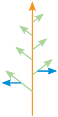 Файл:Monopodium.svg