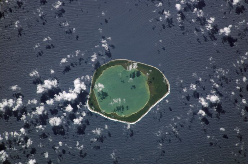 Файл:Niau.JPG