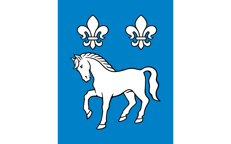 Файл:POL gmina Przykona flag.svg