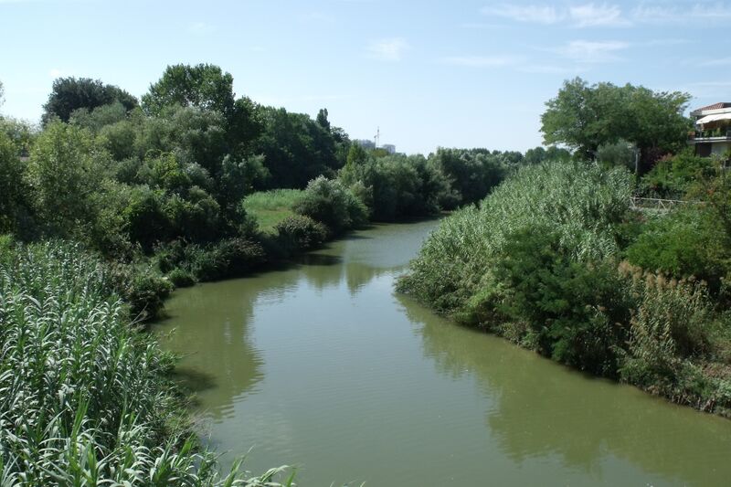 Файл:PesaroFoglia1.JPG