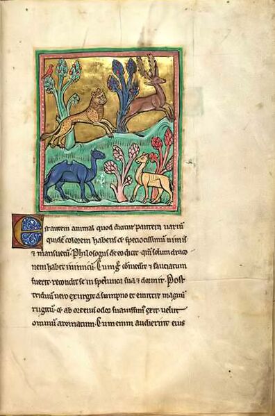 Файл:RochesterBestiaryFolio007rLeopard.jpg