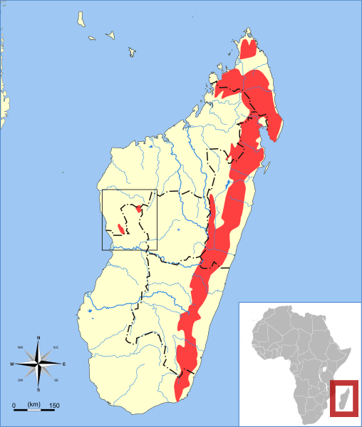 Файл:Cheirogaleus major range map.svg