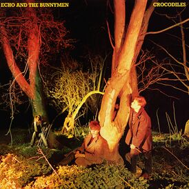 Обложка альбома группы Echo & the Bunnymen «Crocodiles» (1980)