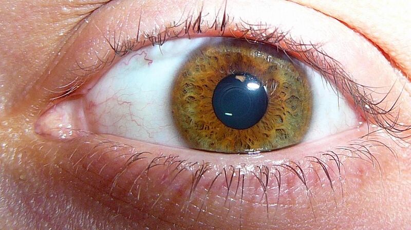 Файл:Eye big.JPG