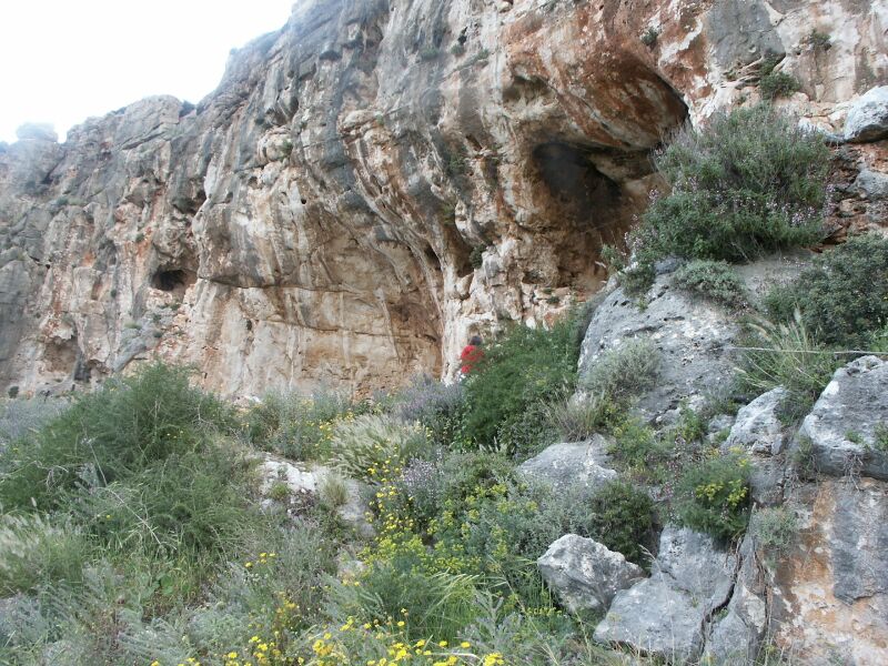 Файл:Misliya Cave.JPG