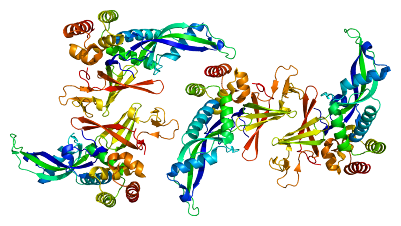 Файл:Protein POLR2G PDB 2c35.png