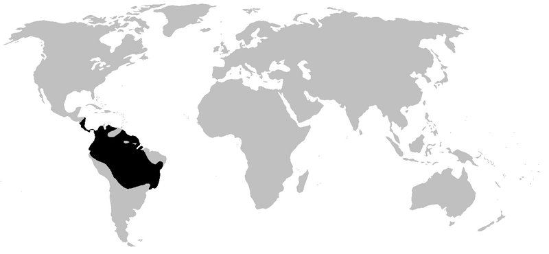 Файл:Dendrobatidae range.PNG