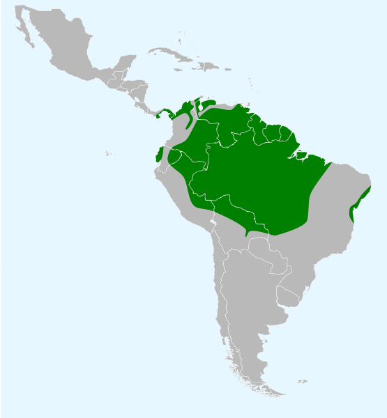 Файл:Cacicus cela map.svg