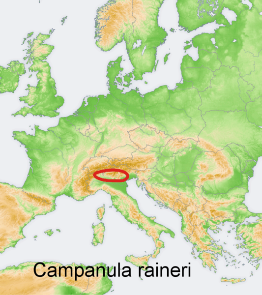 Файл:Distribution map Campanula raineri.png