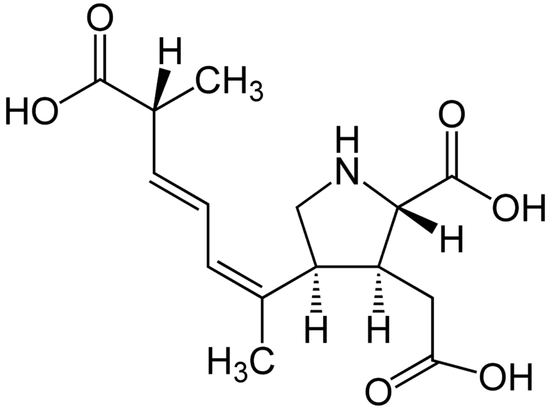 Файл:Domoinic Acid Structural Formulae.png