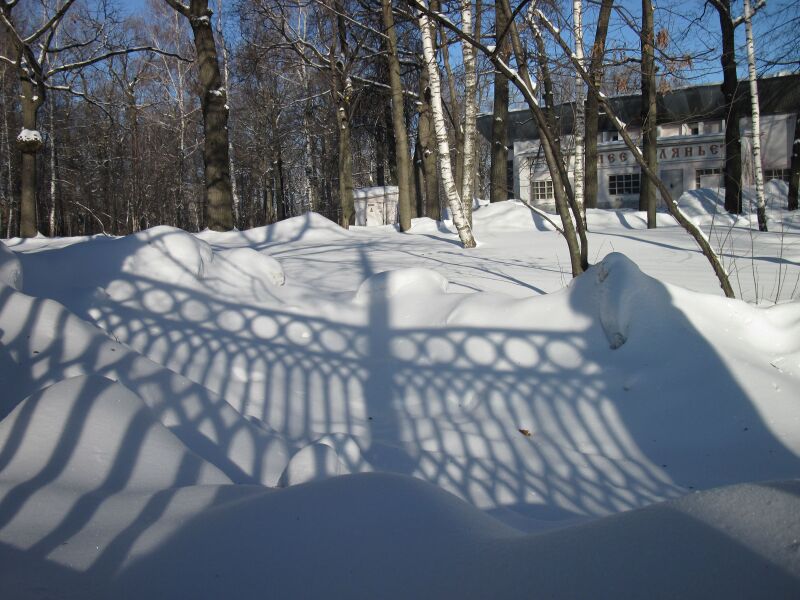Файл:Park grid.JPG