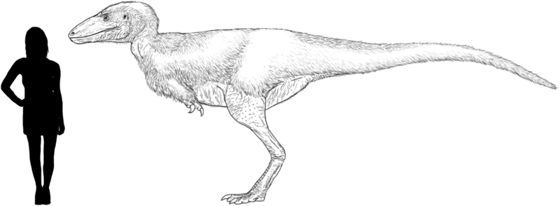 Файл:Alectrosaurus.png