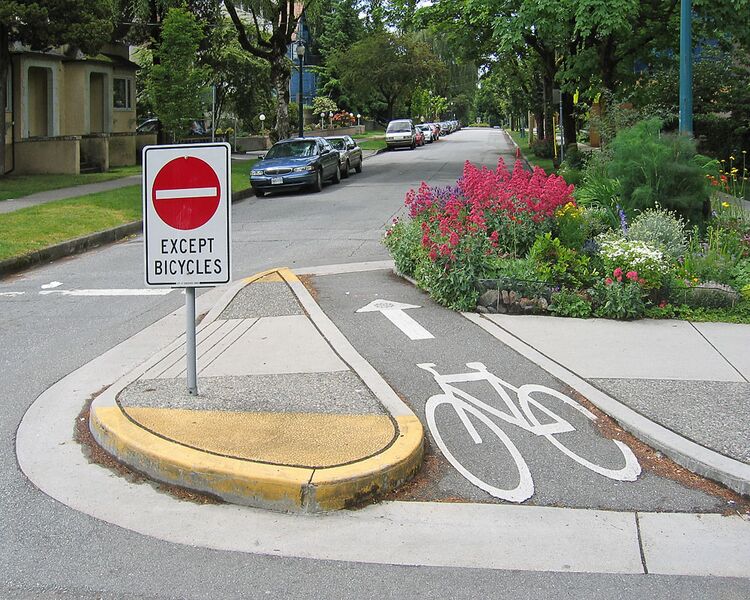 Файл:Directional closure with bicycle access.jpg