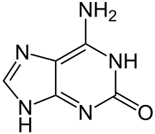 Файл:Isoguanine Structural formula V1.svg