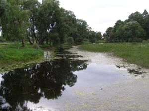 Река Прелька городе Прейли
