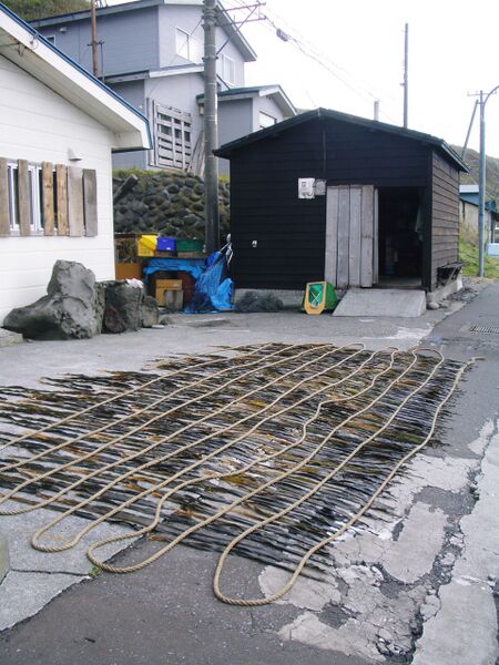 Файл:Rishiri 046 30092006.JPG